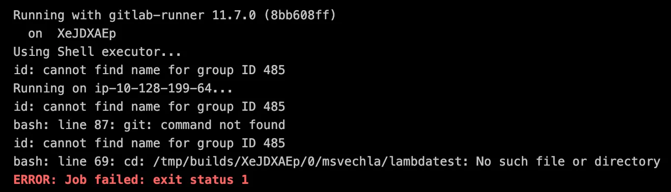 runner ci output of the first lambda execution