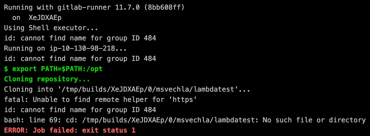 runner ci output of the second lambda execution